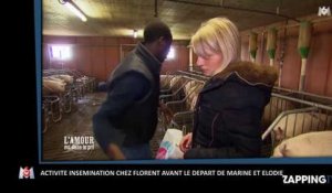 L'amour est dans le pré 2015 : l'activité "cochonne" de Florent