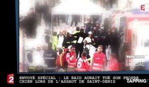 Envoyé Spécial : Le Raid aurait tué son propre chien lors de l'assaut de Saint-Denis (vidéo)