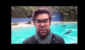 Lemainelibre.fr : Le tournage d'Une saison au zoo reprend à La Flèche