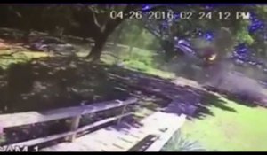 Le crash incroyable d'un avion dans un arbre (vidéo)