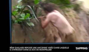 Rémi Gaillard sème la panique dans le zoo de Montpellier (Vidéo)