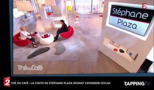 Thé ou Café - Stéphane Plaza : Sa chute impressionnante sur le plateau de Catherine Ceylac (Vidéo)
