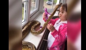 Une fillette de 3 ans fait un câlin à un python de 2,5 mètres (vidéo)