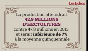 La production française de vin s'annonce en baisse d'environ 10% en 2016