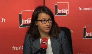 Cécile Duflot : «Un grand gâchis pour l'écologie, ce quinquennat»