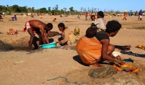 A Madagascar, la sécheresse menace la sécurité alimentaire