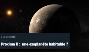 Proxima B : a-t-on enfin découvert une exoplanète habitable ? 