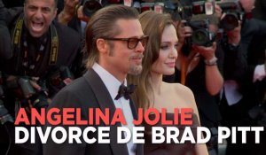 Brad Pitt et Angelina Jolie divorcent