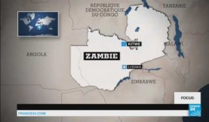 Zambie : la révolution agricole comme réponse à la crise minière