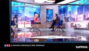 Éric Zemmour affirme qu'Omar Sy et Zinedine Zidane sont "moins français" que lui, la vidéo choc