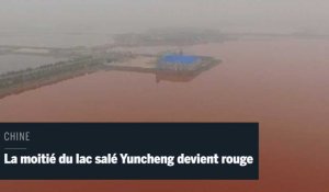 En Chine, la moitié du lac salé Yuncheng devient rouge