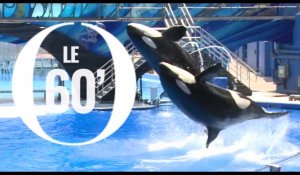 SeaWorld met fin à l'un de ses spectacles d'orque