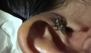 Une araignée sort de son oreille - ZAPPING WEB DU 05/11/2015