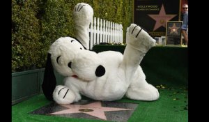 Quand Snoopy reçoit son étoile sur Hollywood Boulevard