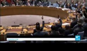 BATAILLE D'ALEP - Le Conseil de sécurité des Nations unies adopte à l'unanimité l'envoi d'observateurs