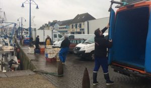 Coquilles : la dernière ligne droite avant les fêtes 