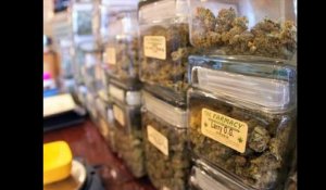 Marijuana : bientôt légale en Californie ?