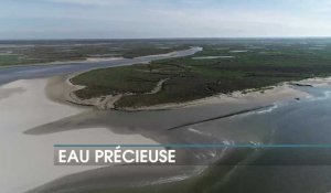 La chronique éco : Eau précieuse