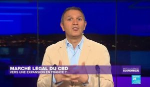Marché légal du CBD : vers une expansion en France ?