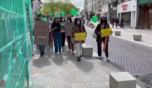 Une quarantaine de personnes se mobilisent à Troyes pour «la justice environnementale»