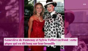 Geneviève de Fontenay et Sylvie Tellier en froid : cette pique qui en dit long sur leur brouille