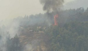 Des incendies frappent l'île d'Eubée en Grèce