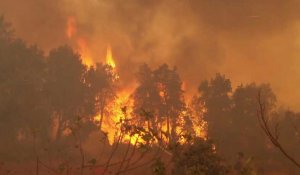 Algérie: la lutte contre les incendies ravageurs se poursuit en Kabylie