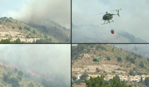 Italie : incendie de forêt dans une réserve naturelle près de Rome