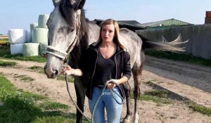 Goldorak, cheval sauvé de l’abattoir par Marie Leducq