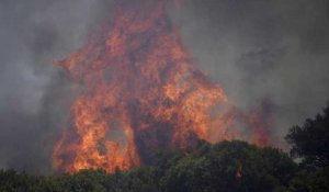 De violents feux ravagent plusieurs régions du monde, surtout en Europe du sud
