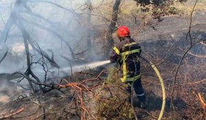 Incendie dans le Var : des pompiers à l'oeuvre à Cogolin