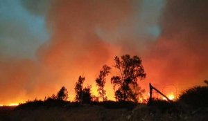Le nord du Maroc à son tour touché par de violents feux de forêt