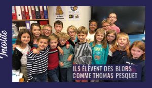 Les CM1-CM2 de l’école de Mont-Saint-Éloi élèvent un blob comme Thomas Pesquet