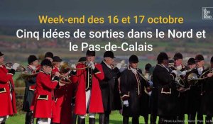 Cinq idées de sorties dans le Nord et le Pas-de-Calais les 16 et 17 octobre
