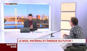 Le bois, matériau et énergie du futur ?