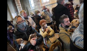 Escaudain : une messe pour bénir les animaux