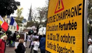 300 anti-pass dans les rues de Troyes ce samedi