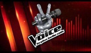 EXCLU PUBLIC : Découvrez le nouveau jury de "The Voice", vous allez être très très étonnés !