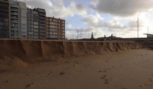 Des falaises de sable  à Wenduine après le passage de la tempête Aurore