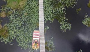 Le marécage des Everglades, un joyau de Floride menacé par le changement climatique