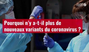 VIDÉO. Pourquoi n’y a-t-il plus de nouveaux variants du coronavirus ?