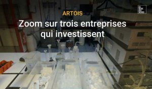 Artois: zoom sur trois entreprises qui investissent