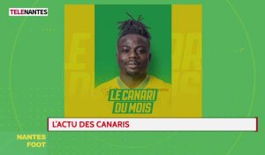 Nantes Foot : Bordeaux-Nantes : le derby numéro un ?