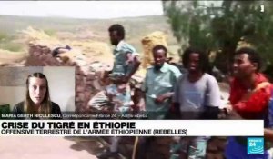 Ethiopie : L'armée a lancé une offensive terrestre contre les forces du Tigré