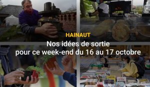 Hainaut : que faire ce week-end du 16 au 17 octobre ?