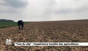 « Test du slip » : l’expérience insolite des agriculteurs
