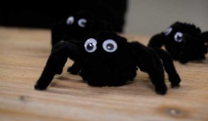 Tutos pour les nuls spécial halloween : l'araignée Pompon d'Halloween