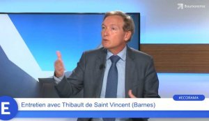 Thibault de Saint Vincent (Barnes) : « 25 % des vendeurs parisiens vendent pour quitter Paris »