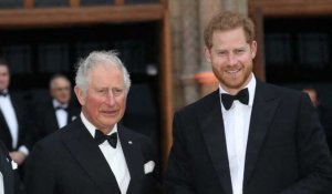 Le prince Charles « fier » de son fils Harry : vers un retour à l’apaisement ?