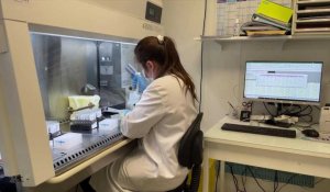 les labos face à la multiplicaion des tests PCR